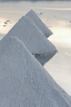 The Salt Sanctuary - Johnson City Spa