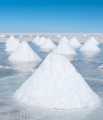 Salt Sanctuary - Binghamton, NY